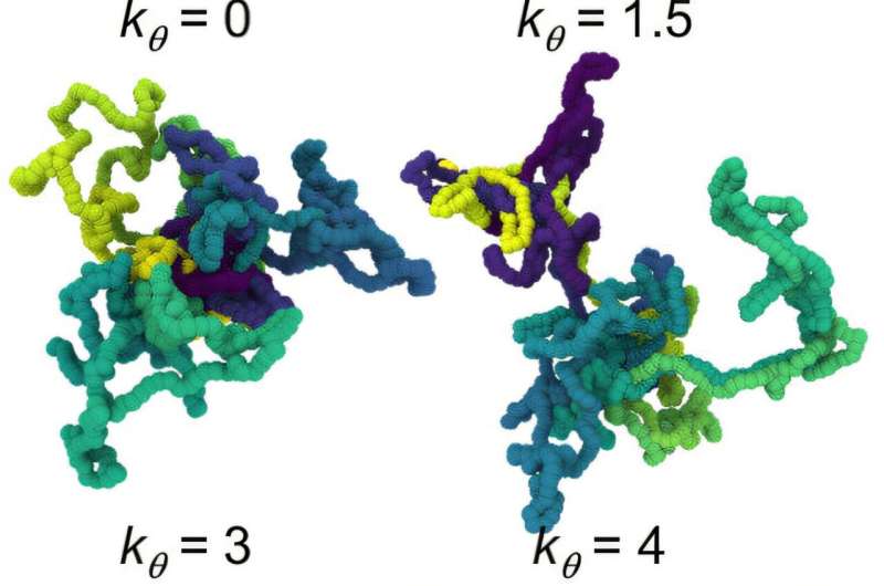 Ring-shaped polymers solidify into glass, offering sustainable material potential