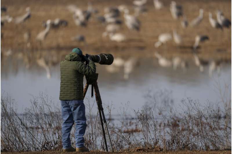 Alabama refuge is a paradise for birders and thousands of migrating sandhill cranes