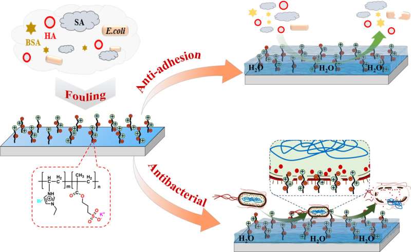 Researchers develop novel reverse osmosis membrane to reduce biofouling