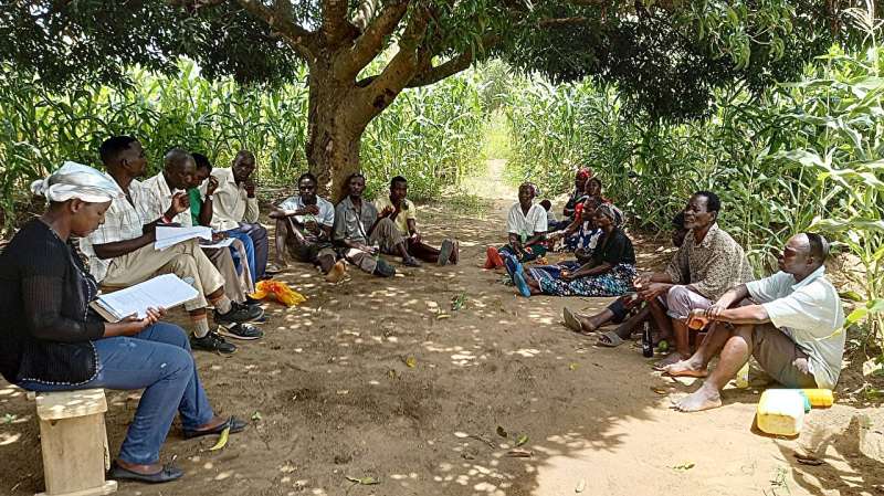 In Malawi, community-led reforestation enhances agriculture and climate resilience