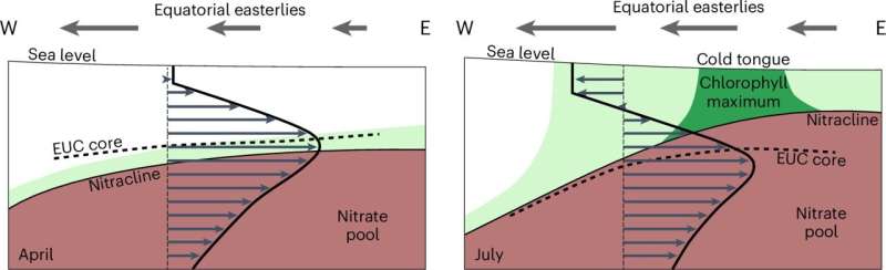 Complex wind and current patterns fuel equatorial Atlantic’s phytoplankton bloom