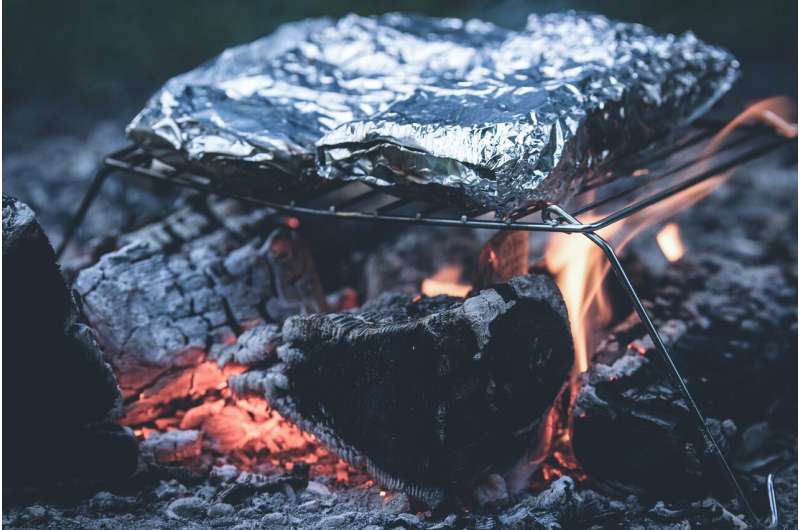 How to break heavy charcoal use and tree clearing through climate reforms