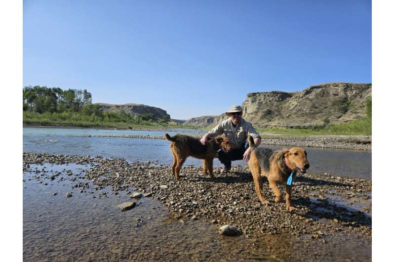 Drones could be the ‘magic tools’ we need to chase bears away from people