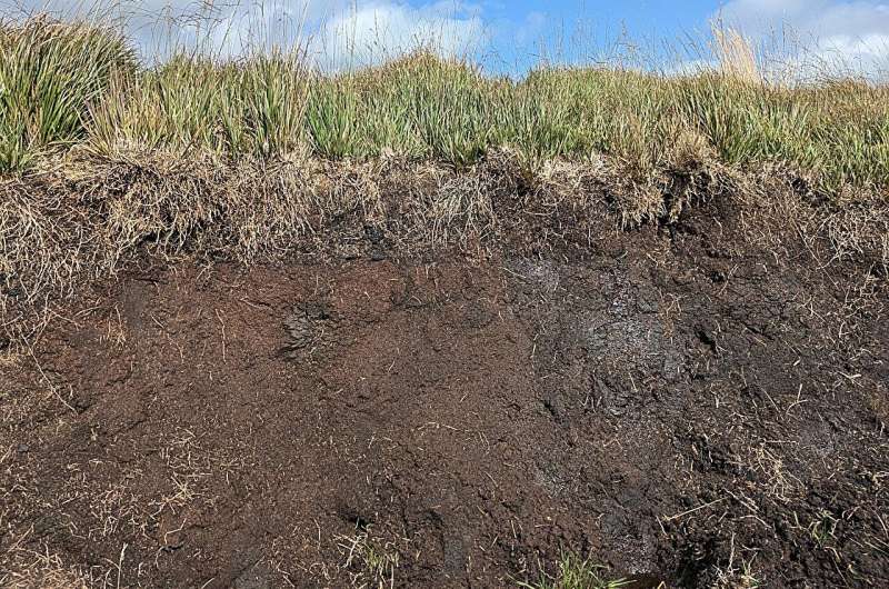 Future of UK peatlands under threat due to climate change