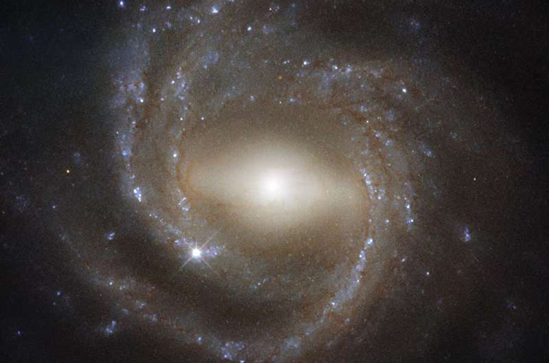 Galaxy cores may be giant fuzzy ‘dark stars’