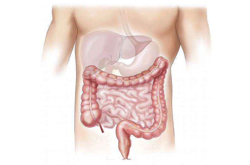 Bacterial small RNA promotes gut colonization by regulating sialic acid metabolism, research reveals