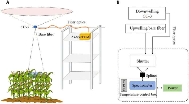 Low-cost spectrometers prove effective for plant health monitoring