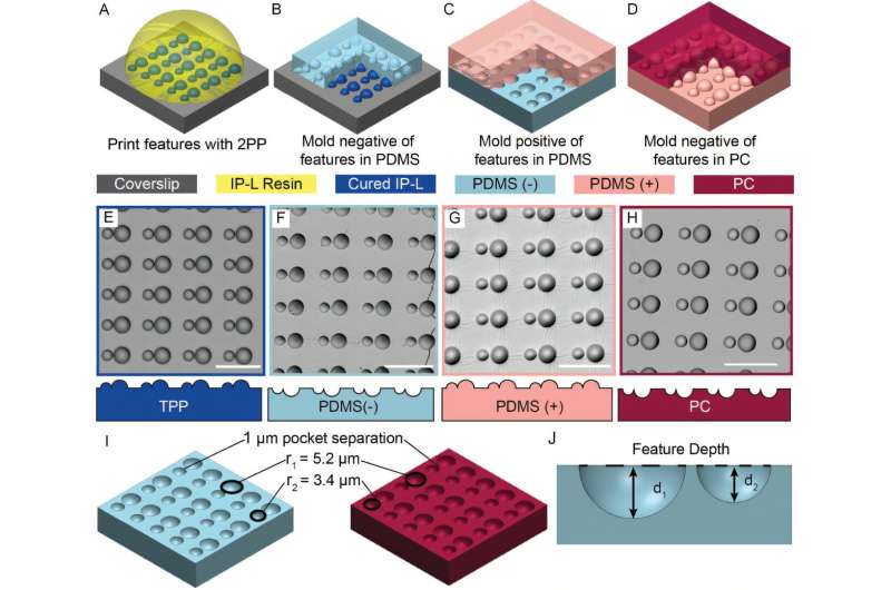 Micro, modular, mobile—DNA-linked microrobots offer new possibilities in medicine and manufacturing