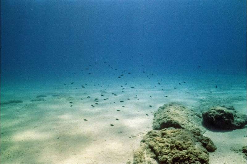 Scientists reveal overlooked ocean processes crucial for carbon storage