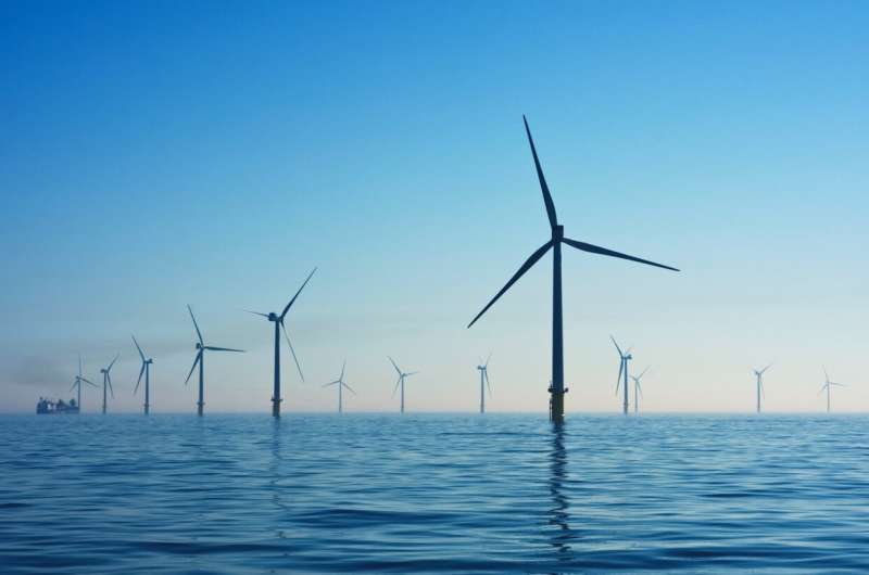 Study shows bird flight paths through two proposed Bass Strait wind farms