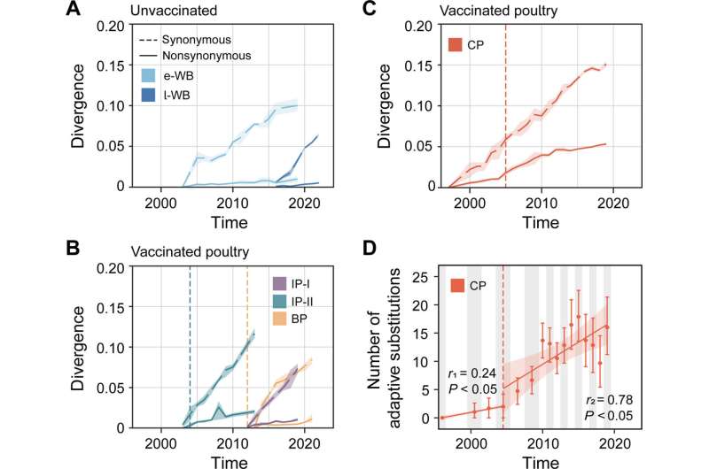 Possible evidence of bird flu vaccinations driving virus evolution