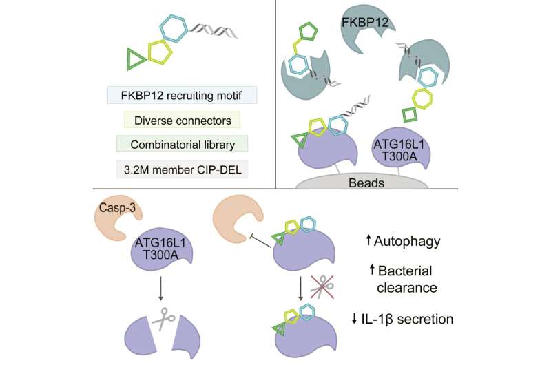 Scientists create vast library of compounds to target disease proteins