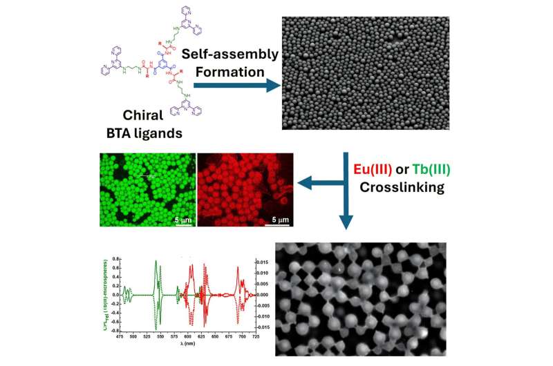 Scientists develop self-assembling molecules with potential applications in targeted drug delivery