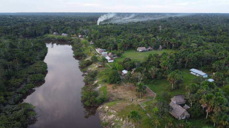 Newly discovered microbes in Amazon peatlands could affect global carbon balance