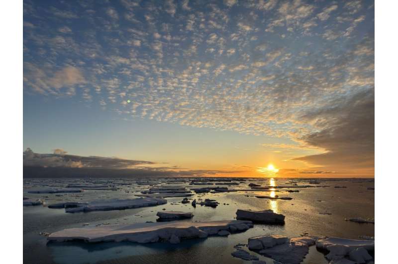 Ocean temperatures hit record highs in 2024, study finds