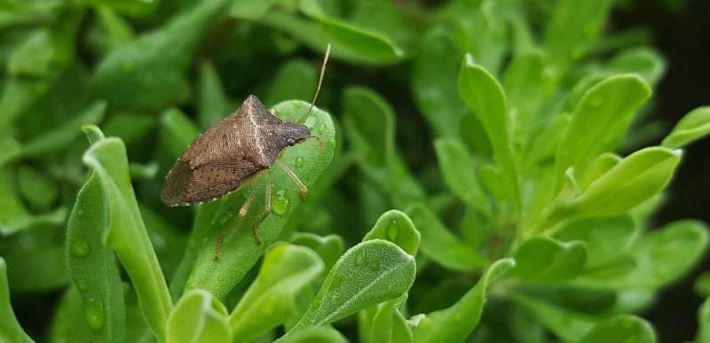 Researchers combine citizens’ help and cutting-edge tech to track biodiversity