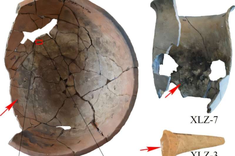 Archaeologists reveal 8,000-year-old bone powder cooking practice in ancient China