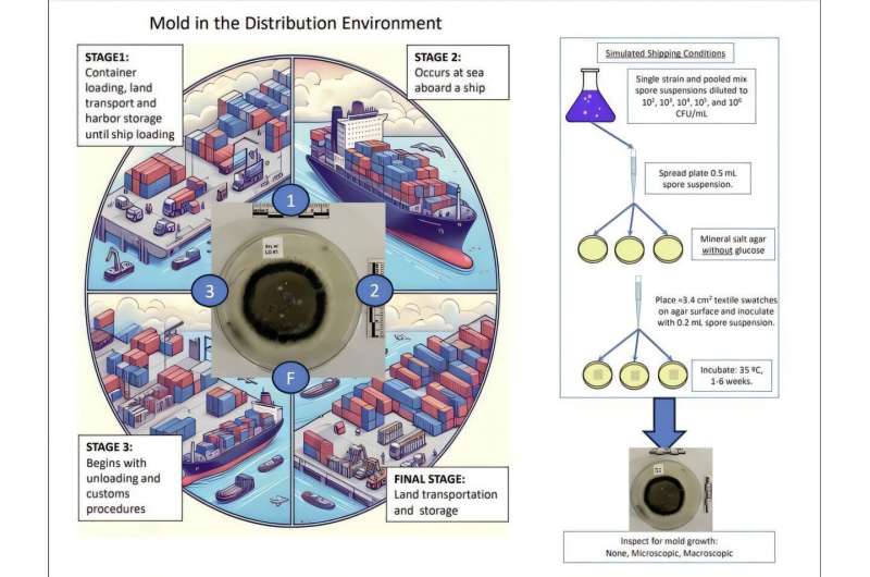 Study reveals the fabrics most vulnerable to fungal attack during shipping—and the culprits