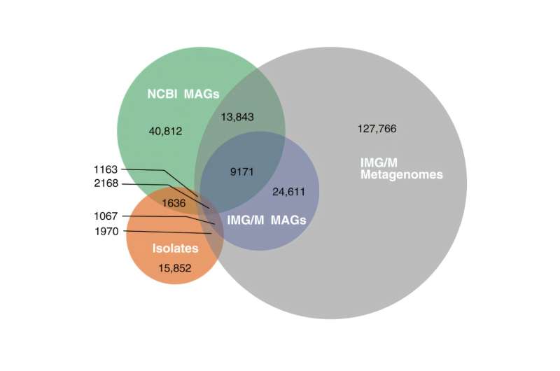 42% of bacteria lack genomic data, study finds