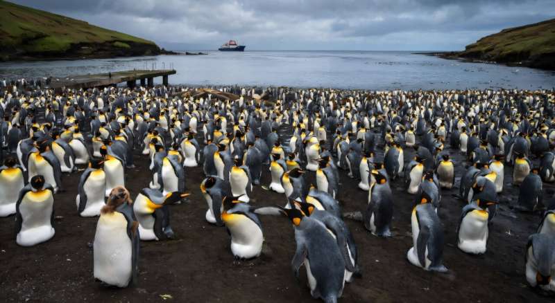 Mega-iceberg drifts towards Antarctic penguin island