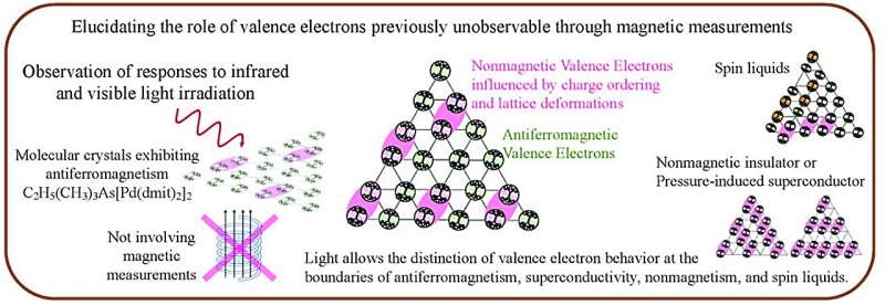 Valence electrons’ role in magnetism of molecular crystals explored