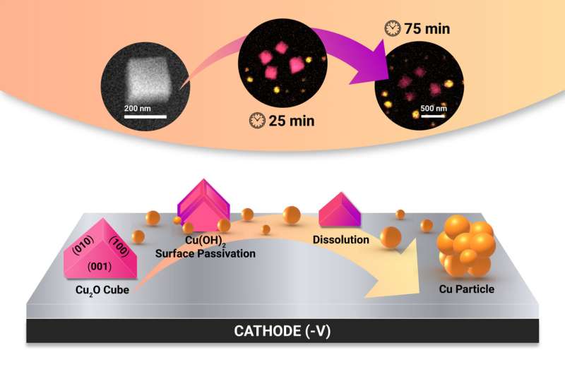 Scientists reveal unanticipated forms during nitrate reduction