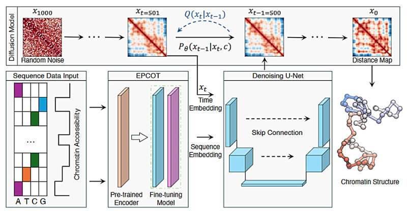 With generative AI, chemists quickly calculate 3D genomic structures