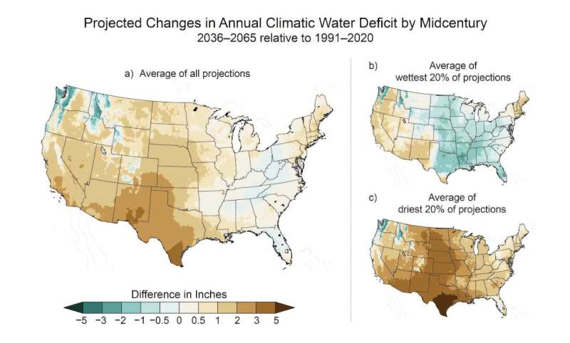 Young trees may be adapting to less-abundant rainfall, researchers suggest