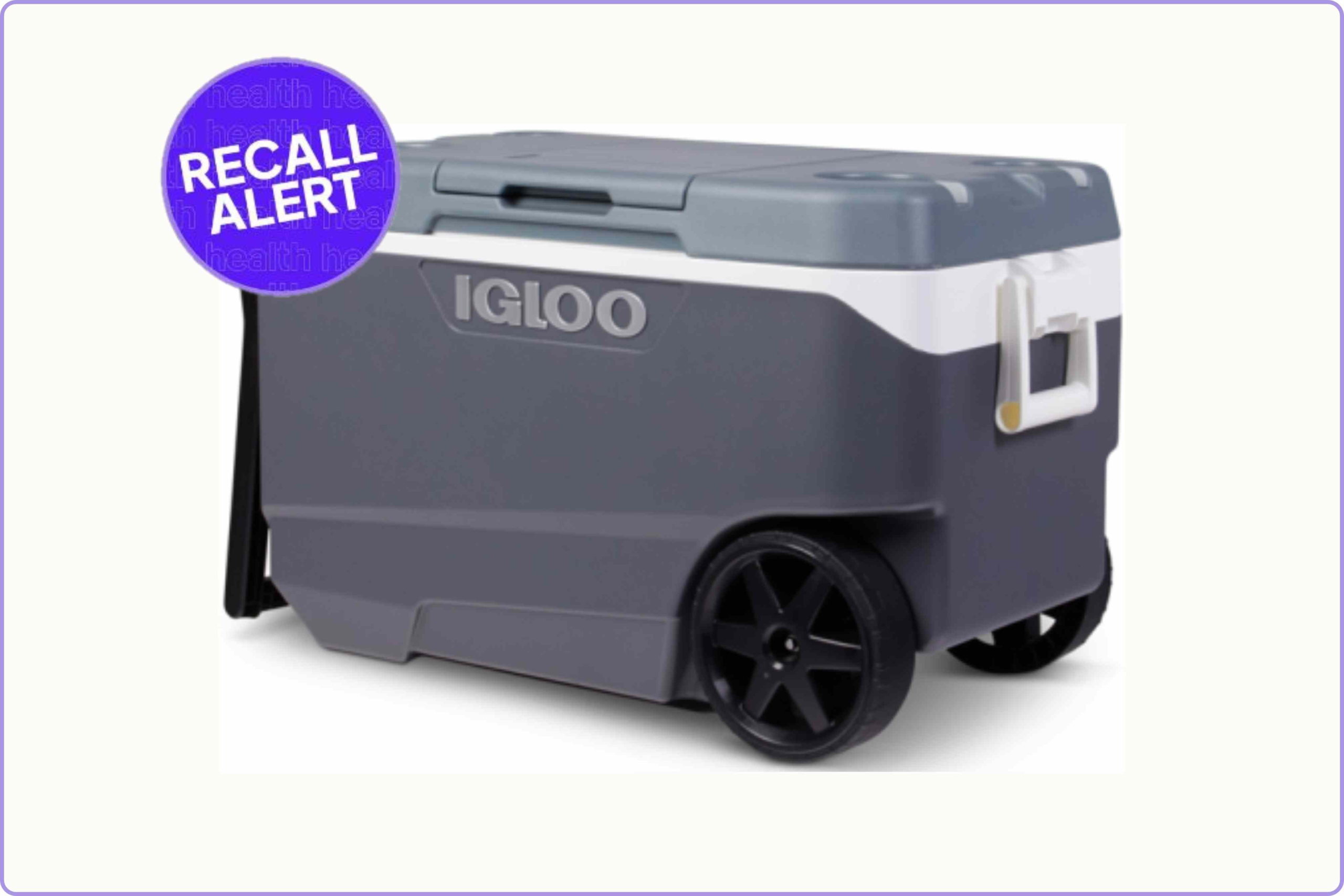 Over a Million Igloo Coolers Recalled Due to Injury Risk