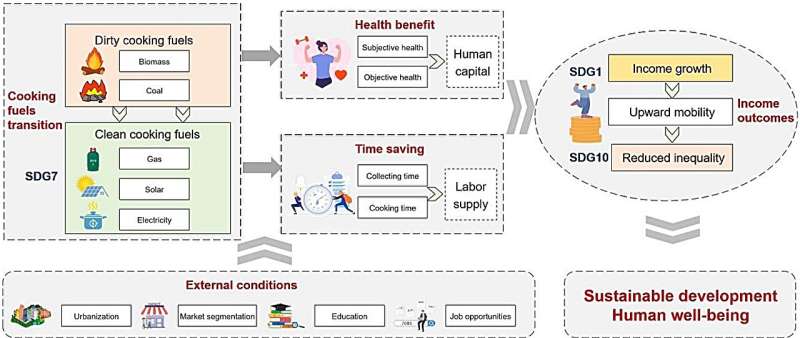 Clean cooking fuels have great potential to reduce income inequality, researchers find