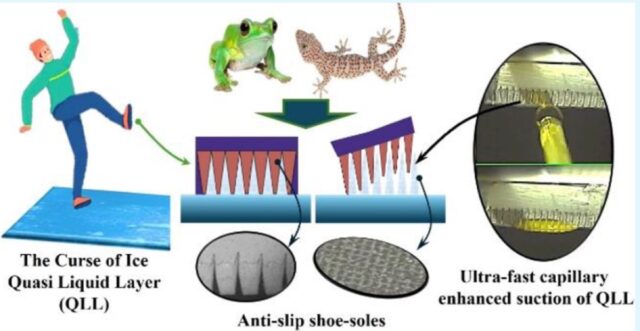 Gecko feet inspire anti-slip shoe soles