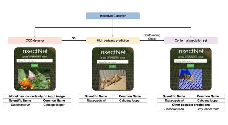 Web-based app identifies insects around the world and around the farm