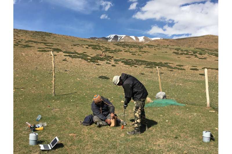 Livestock grazing influences insect populations in the Himalayas