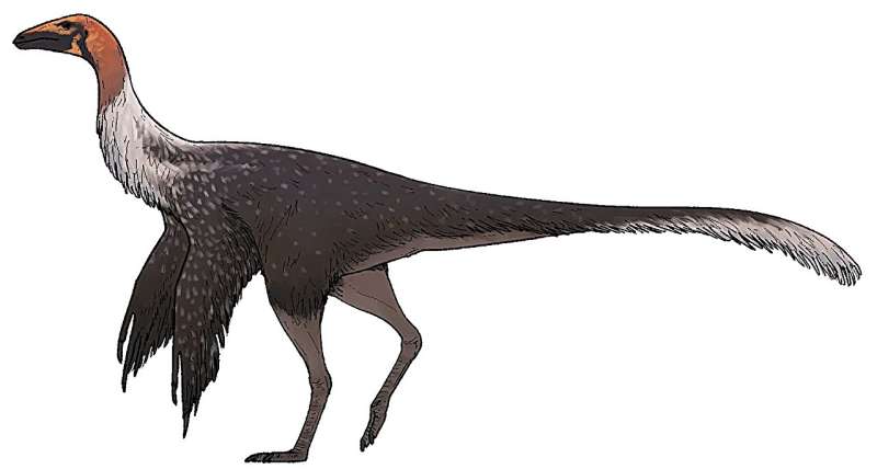 New genus and species within Ornithomimidae dinosaur family identified in Mexico