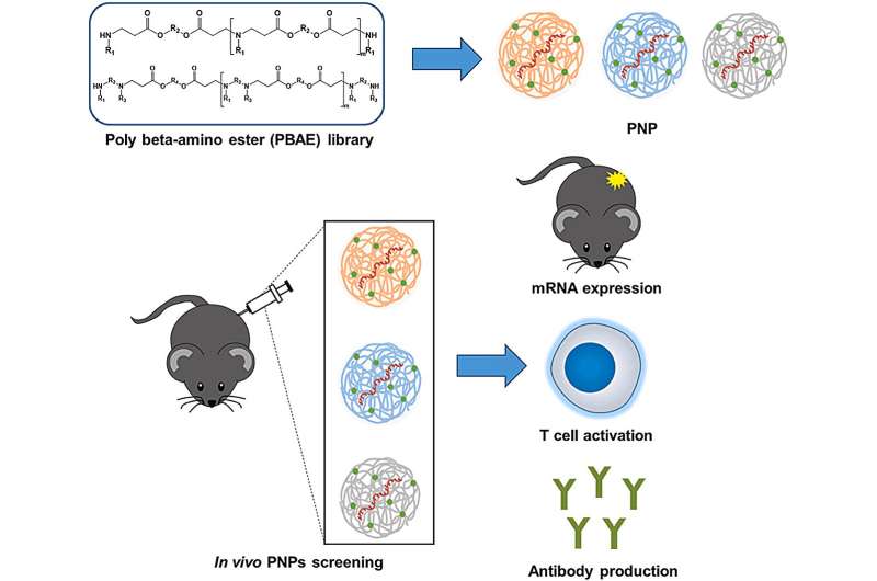 Next-generation mRNA vaccine delivery system uses biodegradable polymers