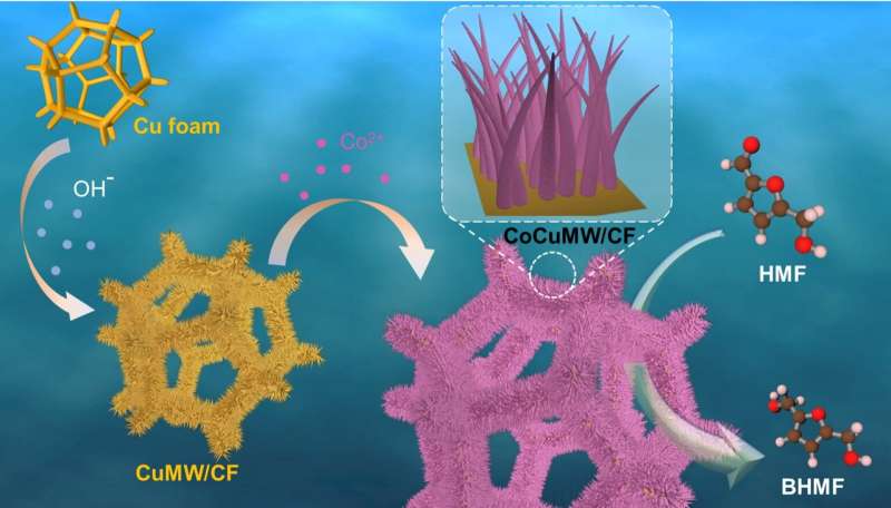 Corrosion-induced electrodes enhance biomass conversion efficiency