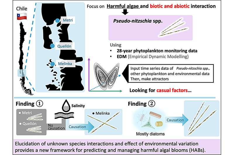 Tracking algae species interactions to help predict harmful algae blooms