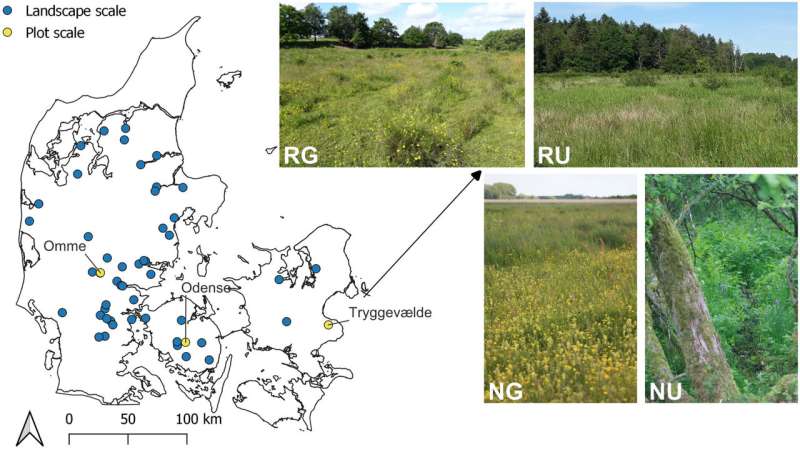 20 years on, biodiversity struggles to take root in restored wetlands across Denmark