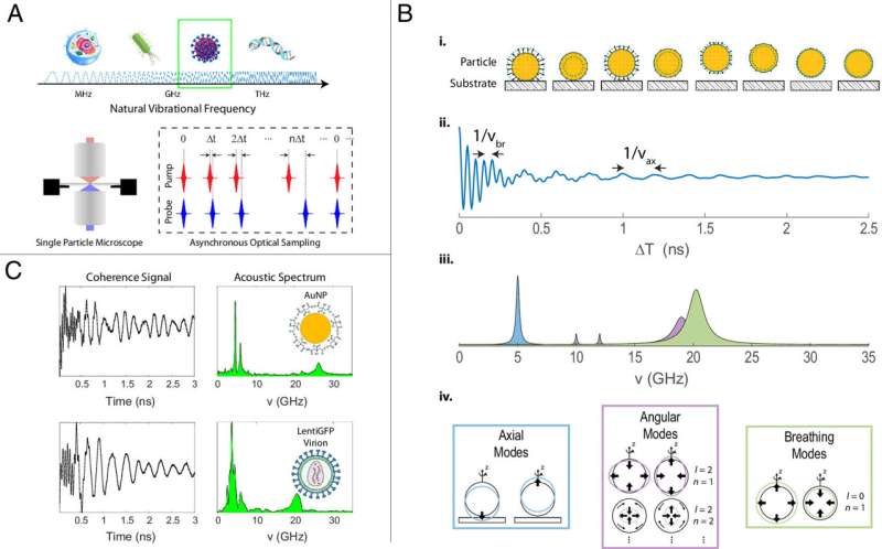 BioSonics spectroscopy can ‘listen’ to the sounds made by individual viruses